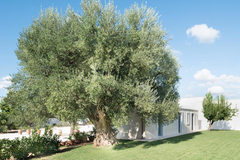 Masseria Il Mandorlo Fiorito X 8 Piscina Privata Ceglie Messapica Cameră foto